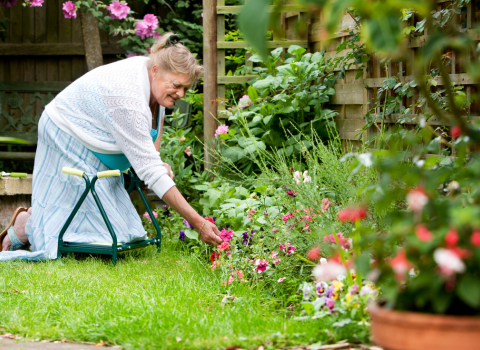 Garden Kneeler