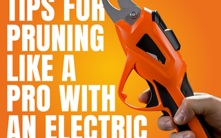 5 Essential Tips for Pruning Like a Pro with an Electric Pruner