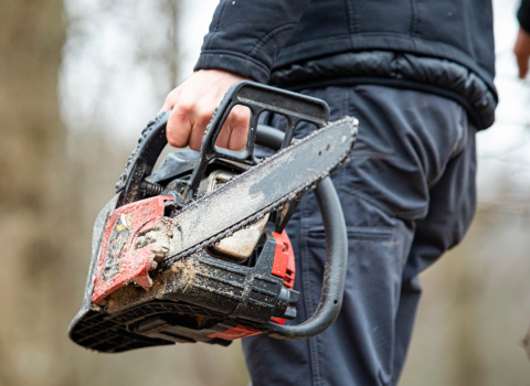 gas-powered chainsaw