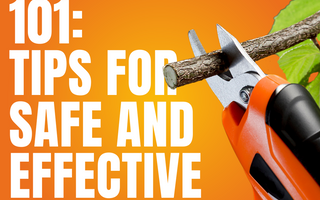 Tree Pruner 101: Tips for Safe and Effective Pruning