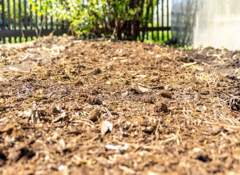 Weeding and Soil Aeration using with garden gloves with claws