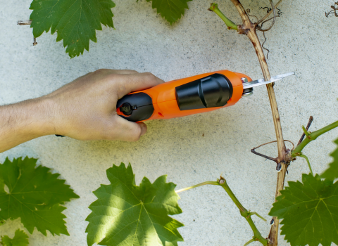 Cordless Electric Pruner