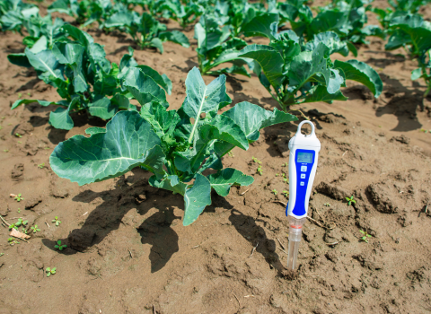 Soil pH & Moisture Meter