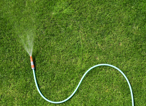 Garden Hose with Adjustable Nozzle for Watering